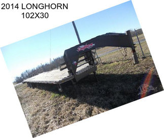 2014 LONGHORN 102X30