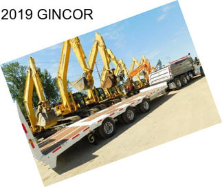 2019 GINCOR