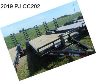 2019 PJ CC202