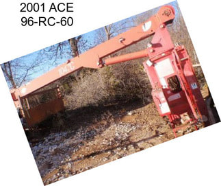 2001 ACE 96-RC-60