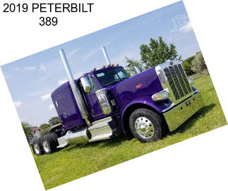 2019 PETERBILT 389