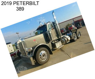 2019 PETERBILT 389