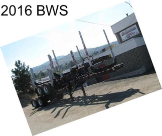 2016 BWS