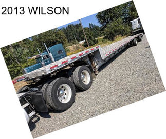 2013 WILSON