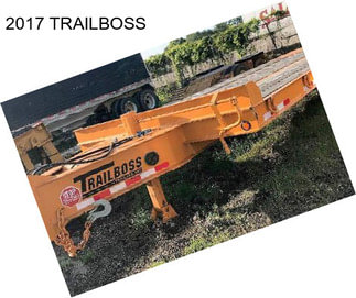 2017 TRAILBOSS