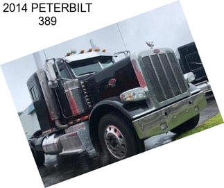 2014 PETERBILT 389