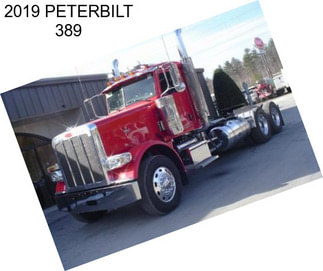 2019 PETERBILT 389