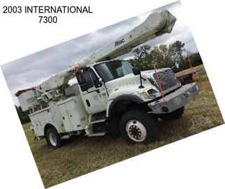 2003 INTERNATIONAL 7300