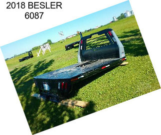 2018 BESLER 6087