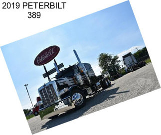 2019 PETERBILT 389