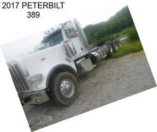 2017 PETERBILT 389