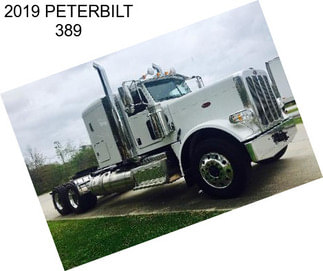 2019 PETERBILT 389