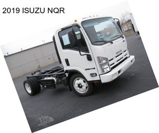 2019 ISUZU NQR