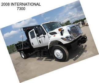 2008 INTERNATIONAL 7300