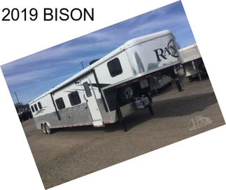 2019 BISON