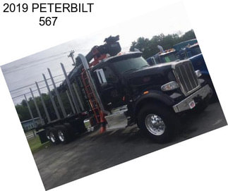 2019 PETERBILT 567