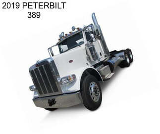 2019 PETERBILT 389