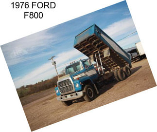 1976 FORD F800