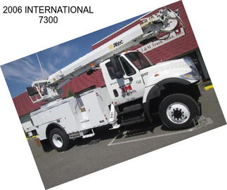 2006 INTERNATIONAL 7300