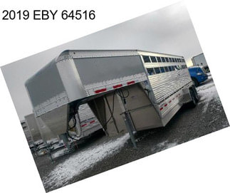 2019 EBY 64516