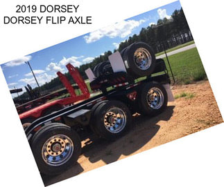 2019 DORSEY DORSEY FLIP AXLE