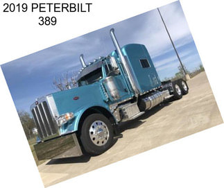 2019 PETERBILT 389