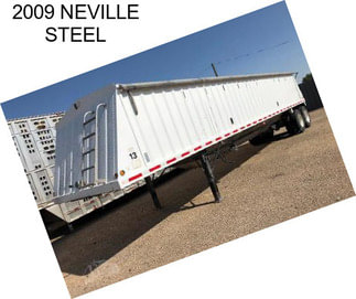 2009 NEVILLE STEEL