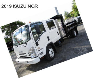 2019 ISUZU NQR