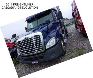 2014 FREIGHTLINER CASCADIA 125 EVOLUTION