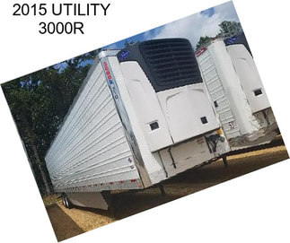 2015 UTILITY 3000R