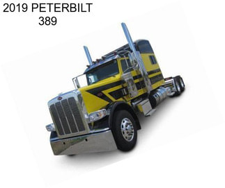 2019 PETERBILT 389