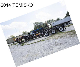 2014 TEMISKO