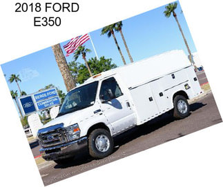 2018 FORD E350