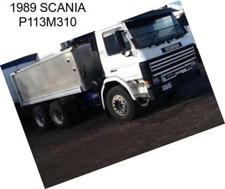 1989 SCANIA P113M310