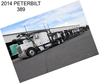 2014 PETERBILT 389