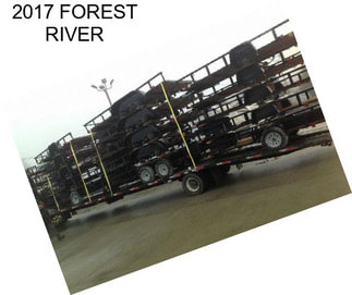 2017 FOREST RIVER