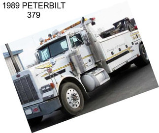 1989 PETERBILT 379