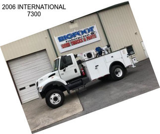 2006 INTERNATIONAL 7300