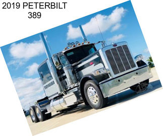 2019 PETERBILT 389