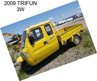 2009 TRIFUN 3W