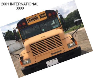 2001 INTERNATIONAL 3800