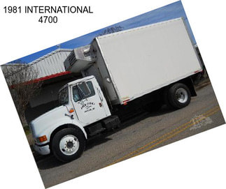 1981 INTERNATIONAL 4700