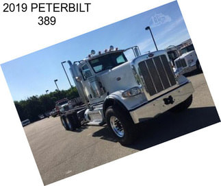 2019 PETERBILT 389