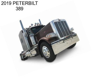 2019 PETERBILT 389