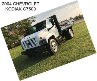 2004 CHEVROLET KODIAK C7500