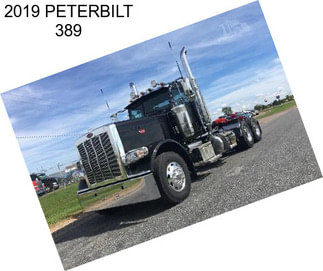 2019 PETERBILT 389