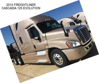 2014 FREIGHTLINER CASCADIA 125 EVOLUTION