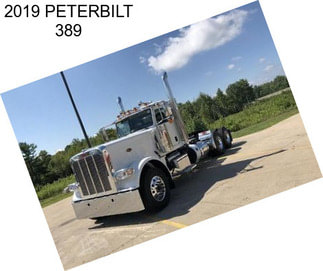 2019 PETERBILT 389