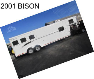 2001 BISON