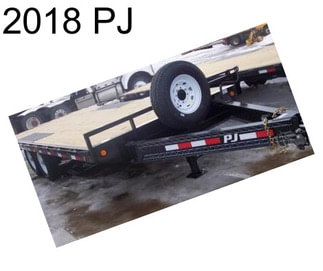 2018 PJ